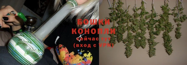 шишки Алексеевка