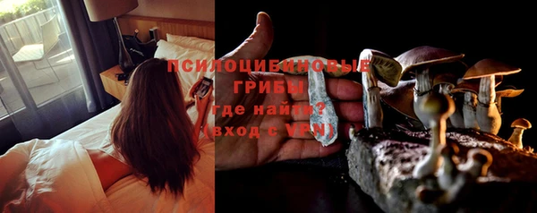гидропоника Алзамай
