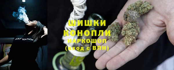 гидропоника Алзамай