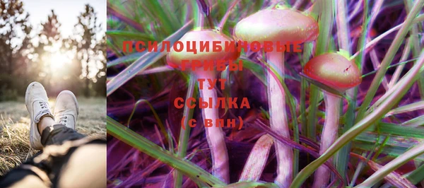 марки lsd Абаза